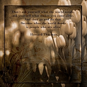 Wall_Art_Alphabet_Photography_Art_ 2633
